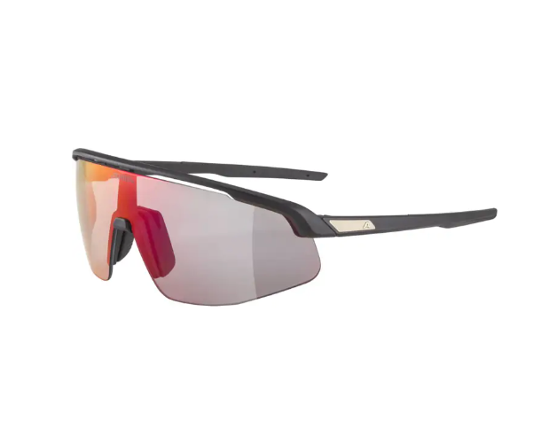Alpina - Sportbrille Turbo Pro QV