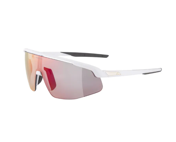 Alpina - Sportbrille Turbo Pro QV